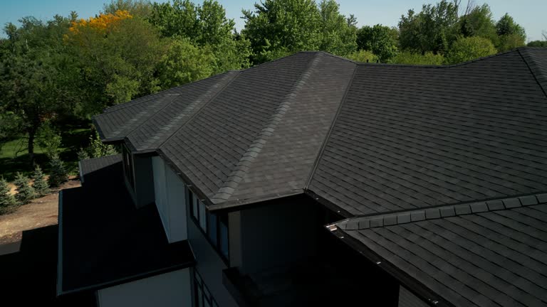 Best Roof Moss and Algae Removal  in Trappe, MD